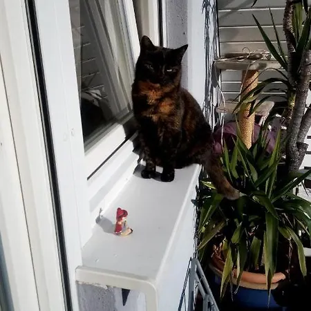 Schwalbennest 公寓