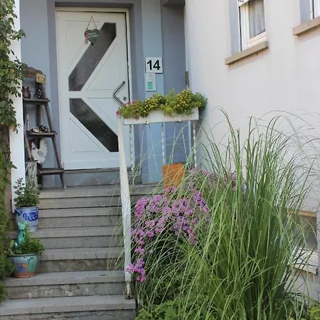 Schwalbennest