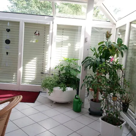 Apartment Schwalbennest